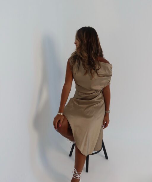 Golden Tones Dress